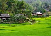 Kinh nghiệm du lịch Sơn La – đi đâu, ăn gì, ở đâu?