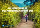 Du lịch tháng 10 – đưa nhau đi săn hoa dã quỳ