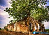 [Tiền Giang] đình Tân Đông – vẻ đẹp kì bí hơn 100 năm tuổi dưới gốc cây bồ đề
