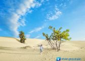 [Ninh Thuận] đồi cát Nam Cương vẻ đẹp của mãnh đất đầy nắng và gió