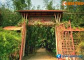 [Bình Dương] Làng tre Phú An – khu bảo tồn tre lớn nhất tại Việt Nam