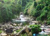 [Quảng Nam] khám phá vẻ quến rũ suối nước Lang