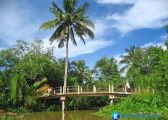 [Bến Tre] Những điểm du lịch nổi tiếng tại Bến Tre