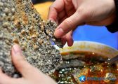 [Hà Tĩnh] những món ngon không thể bỏ qua khi đến với Hà Tĩnh