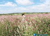 Những điểm đến mới nổi cho du xuân đầu năm