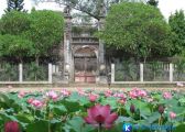 [Quy Nhơn] Chùa Thập Tháp Bình Định – Nhân chứng lịch sử