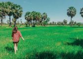 4 địa điểm lý tưởng cho bạn tận hưởng mùa thu tuyệt vời tại Việt Nam