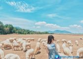 4 đồng cừu đậm chất “du mục” cho bạn du hí vào cuối tuần