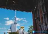 [Nhật Bản] Tokyo Skytree điểm đến không thể bỏ qua tại Tokyo