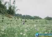 [Mộc Châu] Bản Pa Phách – vẻ đẹp tựa “thiên đường” trên cao nguyên Mộc Châu