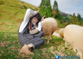 [Đài Loan] Nông trại Cingjing (Cingjing Farm) – Thụy Sĩ thu nhỏ trên đất Đài Loan