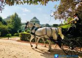 [Áo] Cung điện Schönbrunn lộng lẫy trên đất Áo