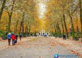 Khám phá công viên Brussels quyến rũ của nước Bỉ