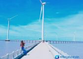 Top 5 điểm đến nổi tiếng ở miền Tây cho dịp Tết Nguyên Đán
