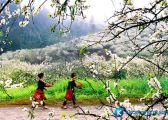 Đi đâu chơi vào dịp lễ Giỗ Tổ Hùng Vương