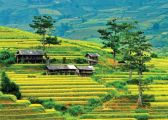 8 địa điểm du lịch miền Bắc siêu đẹp cho mùa thu đông 2023