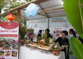 Lễ hội ẩm thực chay Huế 2026: Nơi tinh hoa di sản hòa quyện cùng lối sống xanh