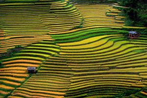 Du Lịch Lâm Đồng