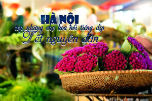 Hà Nội – top những chợ hoa nổi tiếng dịp Tết nguyên đán