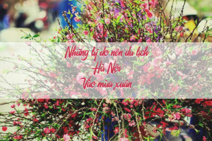 Những lý do nên du lịch Hà Nội vào mùa xuân