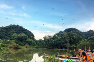 [Ninh Bình] lạc trôi khám phá Thung Chim – vườn chim lớn nhất của Ninh Bình