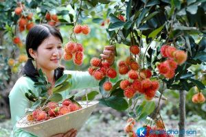 Du Lịch Đồng Nai