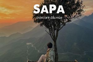 Du Lịch Sapa