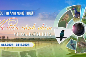 “Vũ Điệu Cánh Chim Vùng Đầm Phá”: Cuộc thi ảnh tôn vinh vẻ đẹp chim hoang dã Miền Trung “Vũ Điệu Cánh Chim Vùng Đầm Phá”: Cuộc thi ảnh tôn vinh vẻ đẹp chim hoang dã Miền Trung