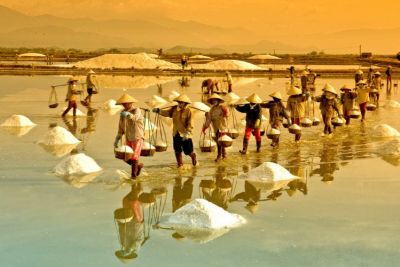 Kinh nghiệm du lịch Quảng Ngãi