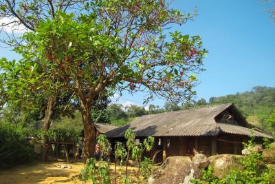 Sin Súi Hồ – bản du lịch cộng đồng ẩn mình trong núi rừng Tây Bắc