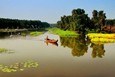 Kinh nghiệm du lịch Đồng Tháp – ăn gì, chơi gì, ở đâu ?