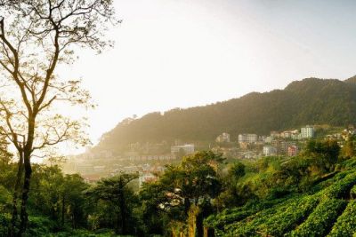 Tam Đảo – địa điểm lý tưởng để đưa nhau “đi trốn” vào cuối tuần