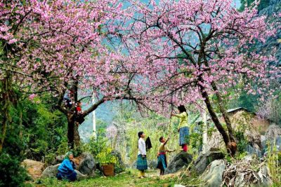Kinh nghiệm du lịch Điện Biên – dấu ấn lịch sử còn đọng lại