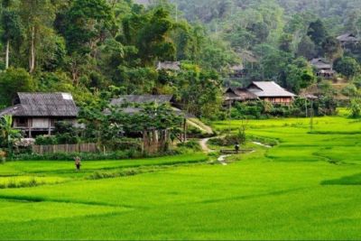 Kinh nghiệm du lịch Sơn La – đi đâu, ăn gì, ở đâu?