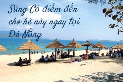 Sủng Cỏ – điểm đến cho hè này ngay tại Đà Nẵng