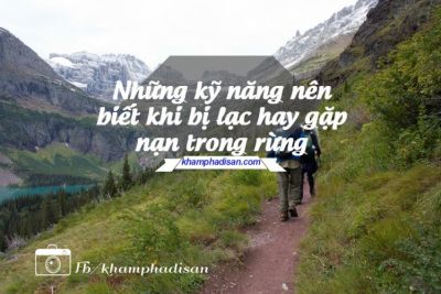 Những kỹ năng nên biết khi bị lạc hay gặp nạn trong rừng