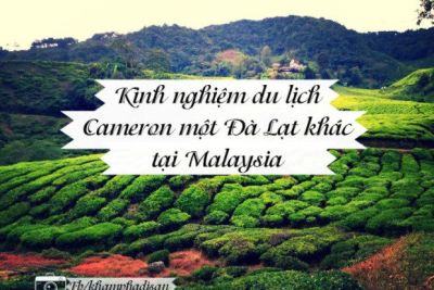 Kinh nghiệm du lịch Cameron – một Đà Lạt khác tại Malaysia