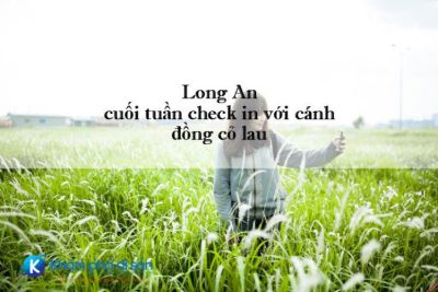 Long An – cuối tuần check in với cánh đồng cỏ lau