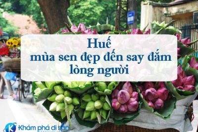 Huế – mùa sen đẹp đến say đắm lòng người