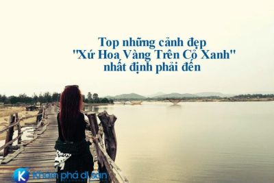 Top những cảnh đẹp “Xứ Hoa Vàng Trên Cỏ Xanh” nhất định phải đến