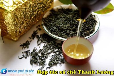 Hợp tác xã chè Thanh Lương – Hồ Núi Cốc, Thái Nguyên