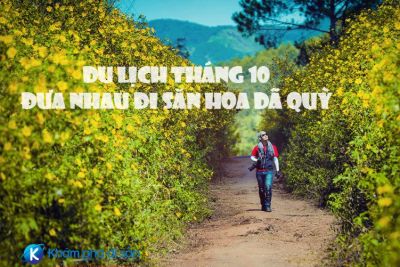 Du lịch tháng 10 – đưa nhau đi săn hoa dã quỳ