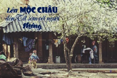 Lên Mộc Châu đón Tết sớm với người Mông