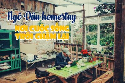 Ngó Dâu homestay – nơi cuộc sống trôi chậm lại