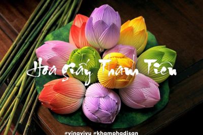 Về làng hoa giấy Thanh Tiên, gặp những người mang xuân về với Huế