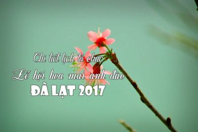 Chi tiết lịch tổ chức Lễ hội hoa mai anh đào Đà Lạt 2017