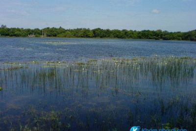 Trằm Trà Lộc – điểm đến lý tưởng cho ngày hè tại Quảng Trị