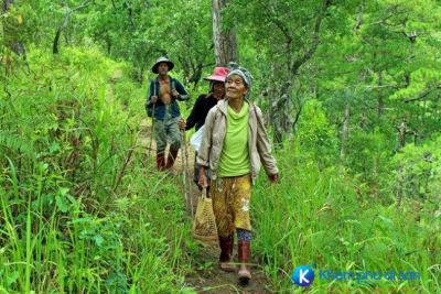[Lâm Đồng] Chinh phục đỉnh Bidoup “nóc nhà” Lâm Đồng