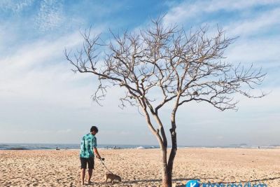 [Vũng Tàu] cẩm năng du lịch biển Suối Ồ – điểm đến mới cho mùa hè này