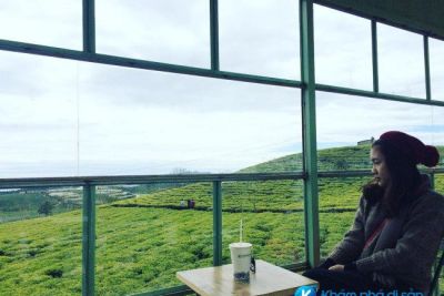 [Đà Lạt] check in quán cafe cực chất nằm giữa đồi chè Cầu Đất